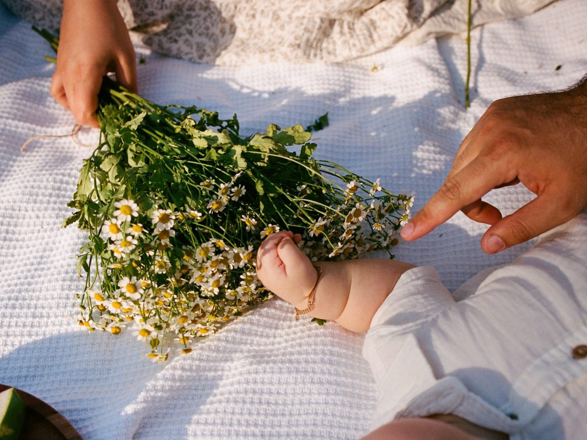 New Year, New&nbsp;Adventure!